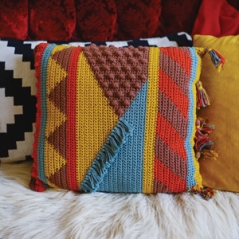 Eclectic Cushion