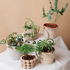 Plant Pot Sleeves